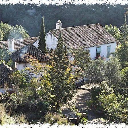 Cortijo Casas Viejas Villa Málaga Eksteriør billede