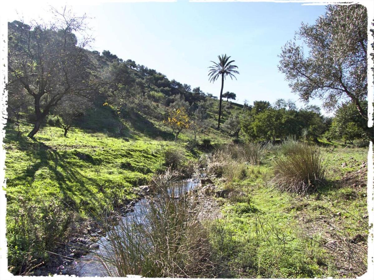 Cortijo Casas Viejas Villa Málaga Eksteriør billede