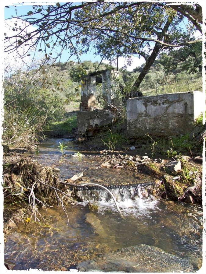 Cortijo Casas Viejas Villa Málaga Eksteriør billede
